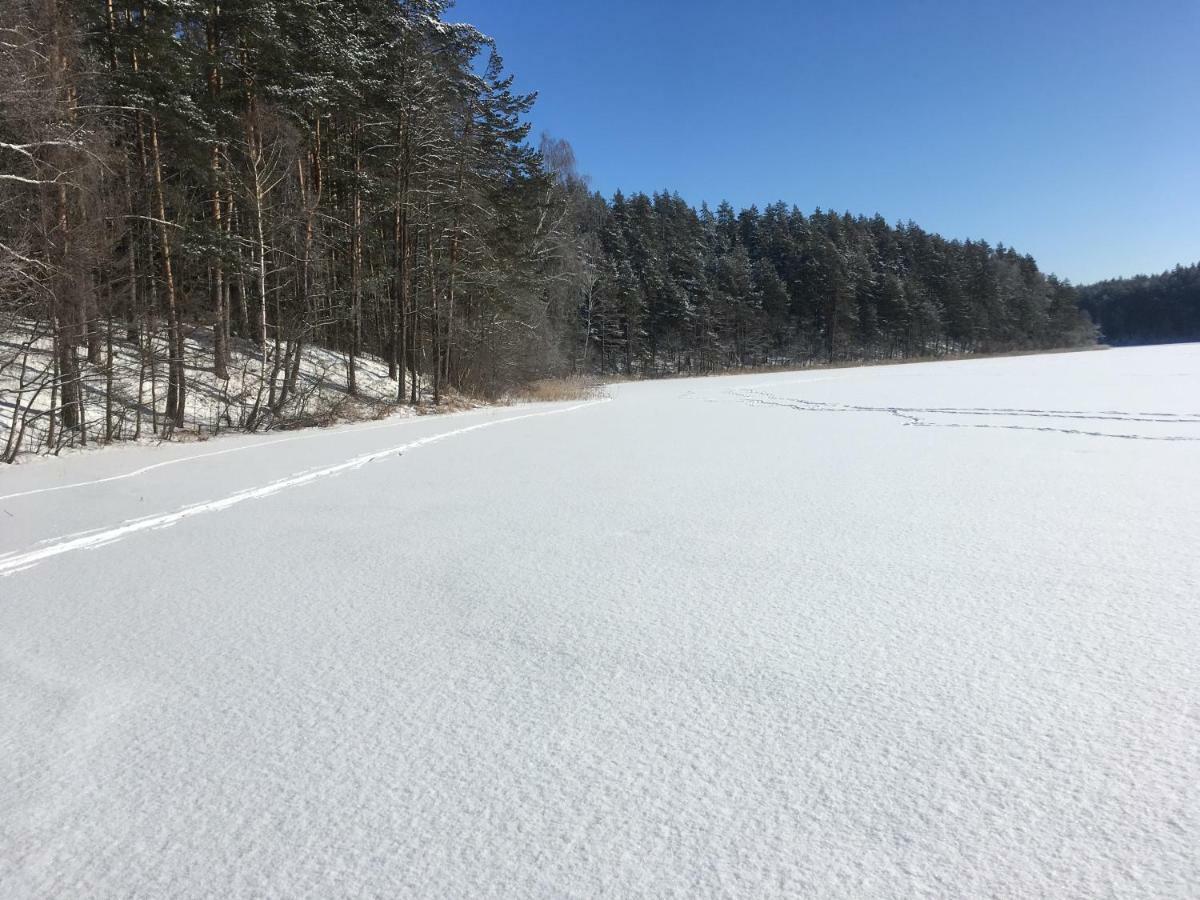 Vila Migla Paseksciai Екстер'єр фото